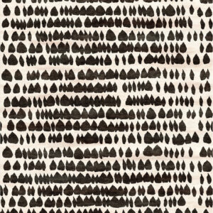 Perpetuity Traces, Studio Zollanvari